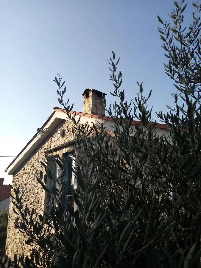 Villa Nono Croatia