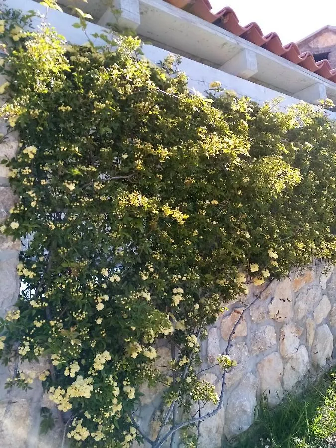 Villa Nono Croatia